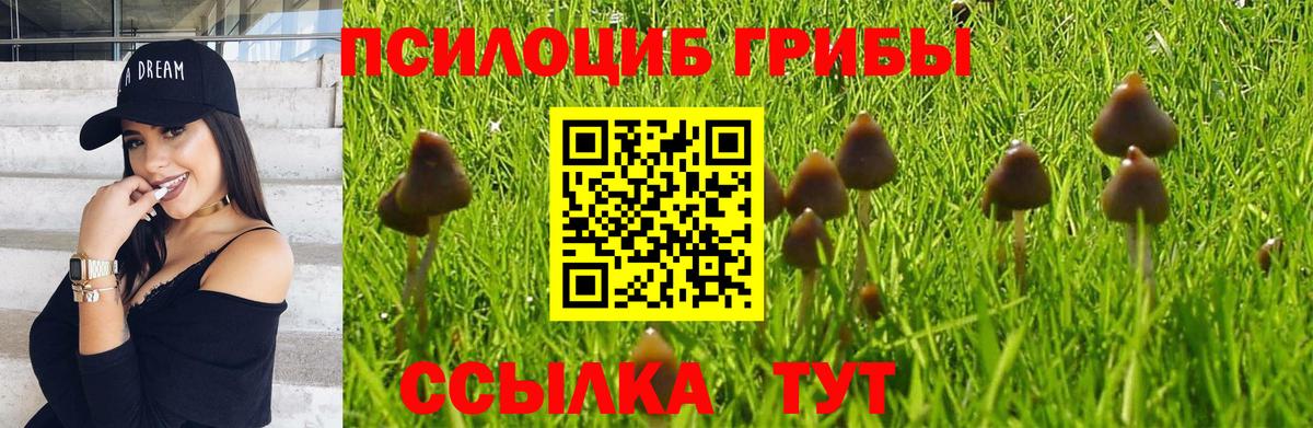 Псилоцибиновые грибы прущие грибы Спасск-Дальний