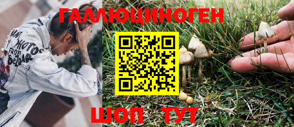 где купить наркоту  Псилоцибиновые грибы Magic Shrooms  Вход с VPN  Спасск-Дальний 