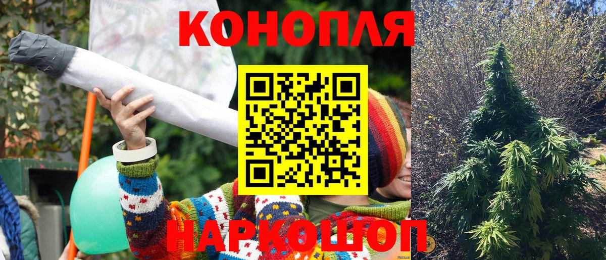 Канабис сатива Спасск-Дальний